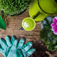 Planting Instructions